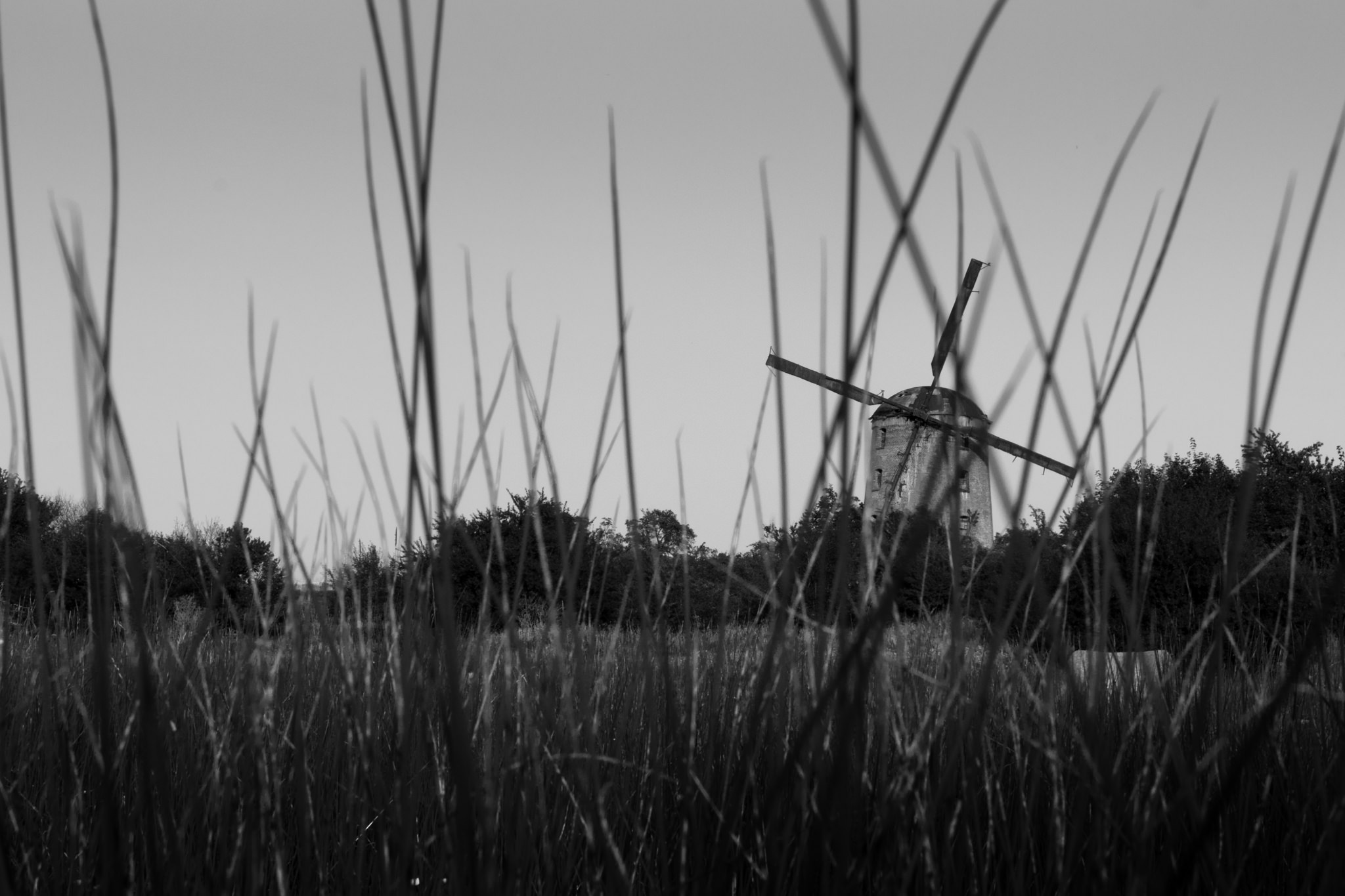 Młyn wiatrowy w Zdrzewnie