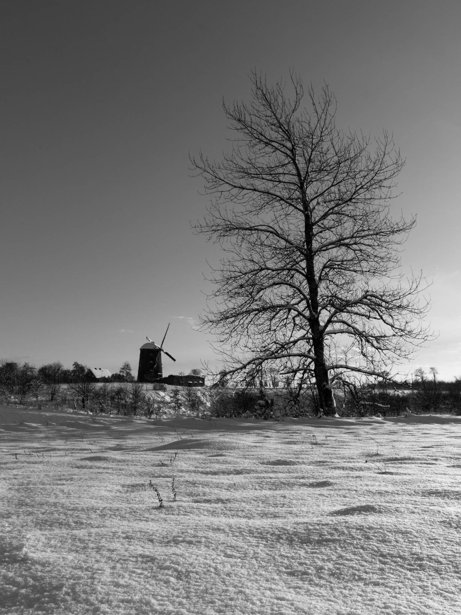 Młyn wiatrowy w Zdrzewnie