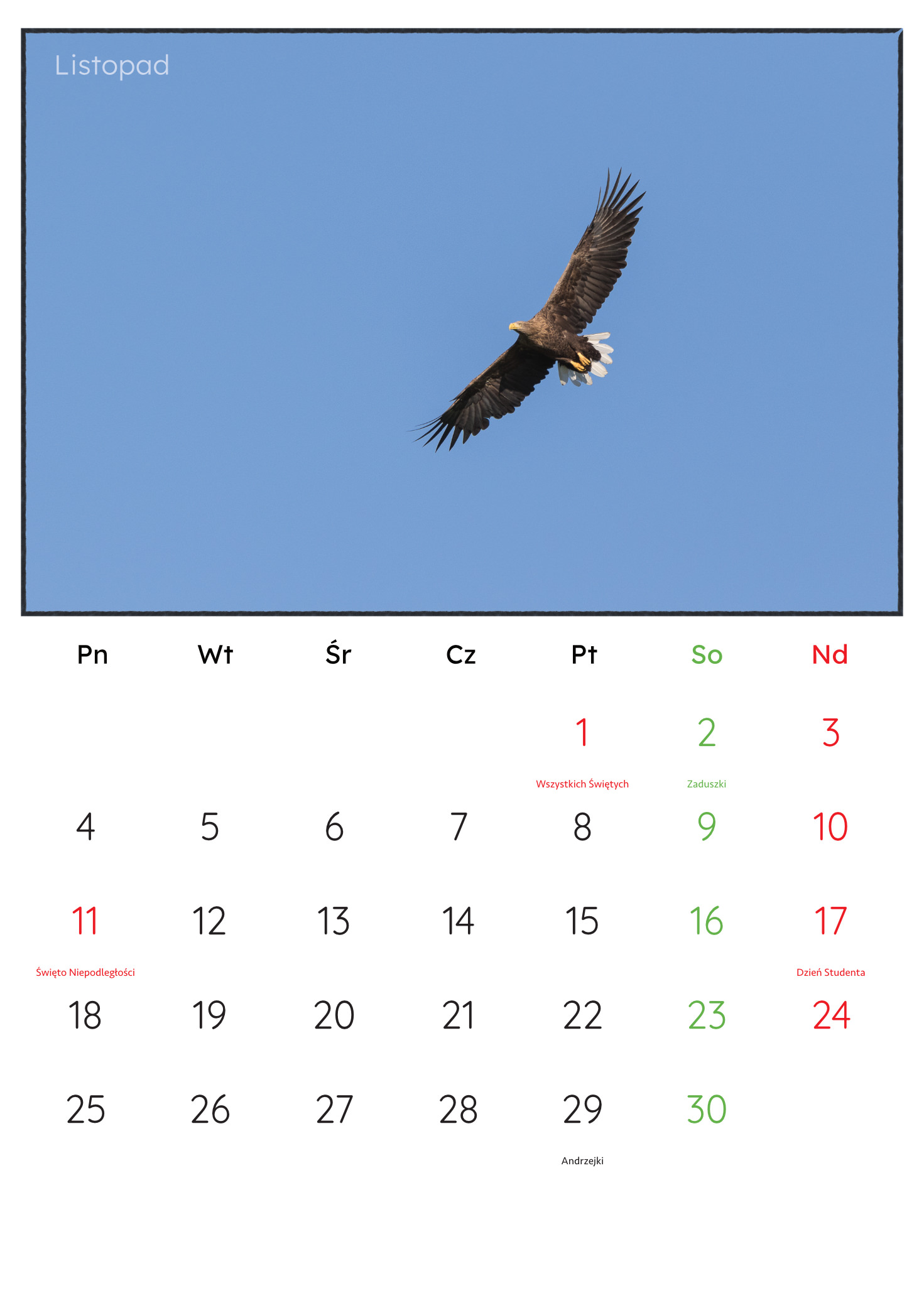 30x45_PremiumMatte.idml