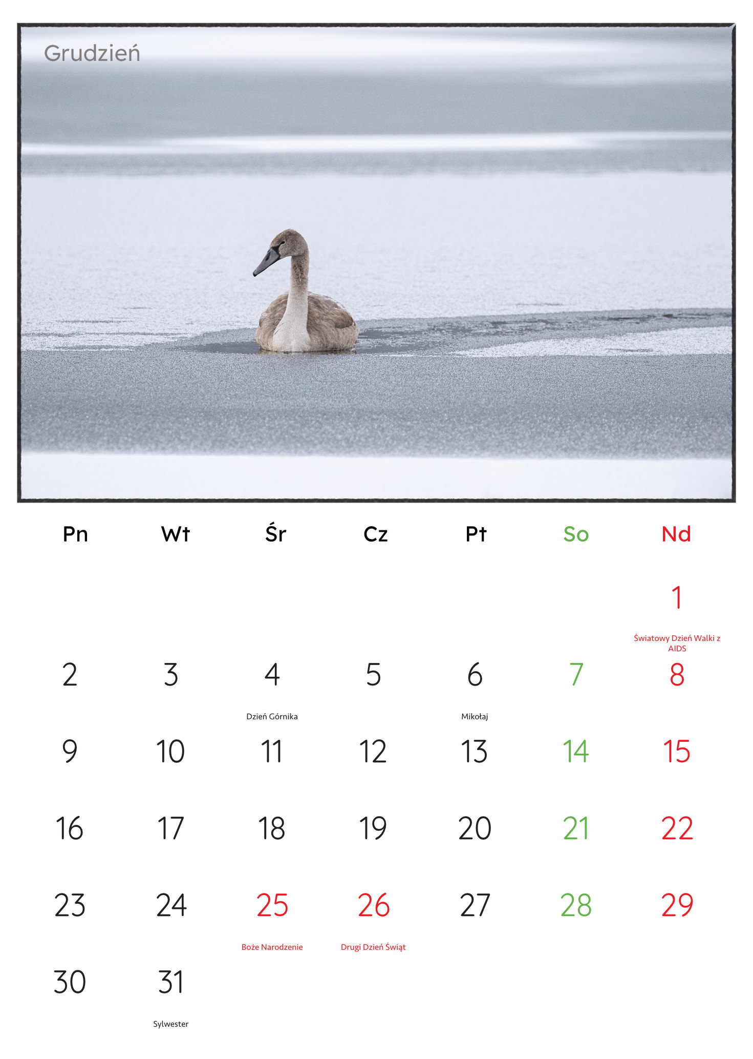 30x45_PremiumMatte.idml