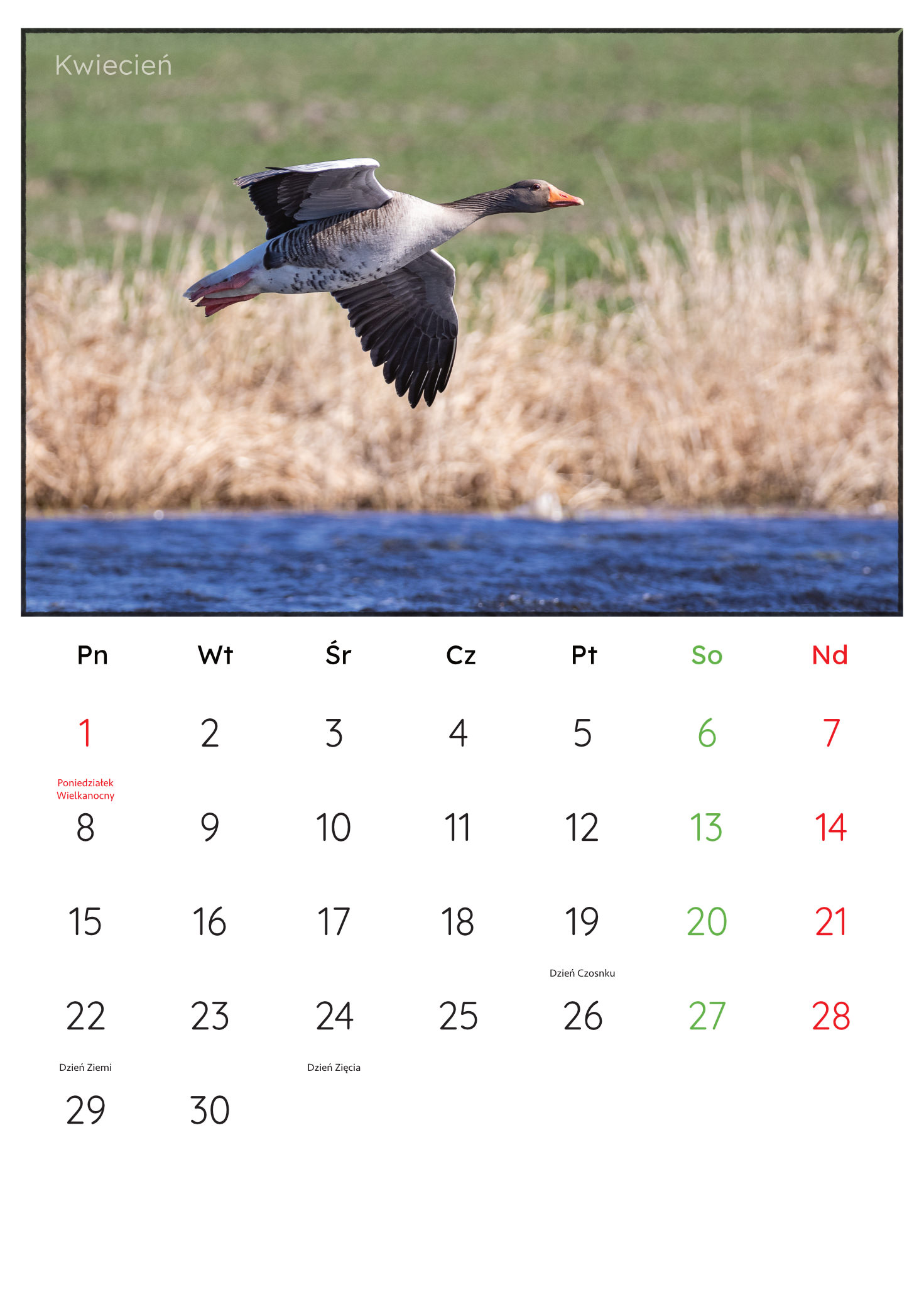 30x45_PremiumMatte.idml