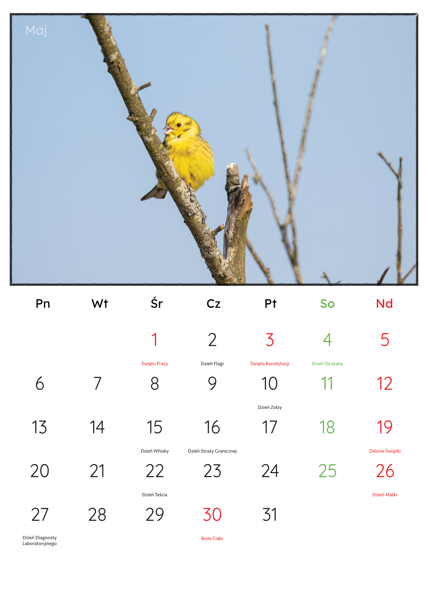 30x45_PremiumMatte.idml