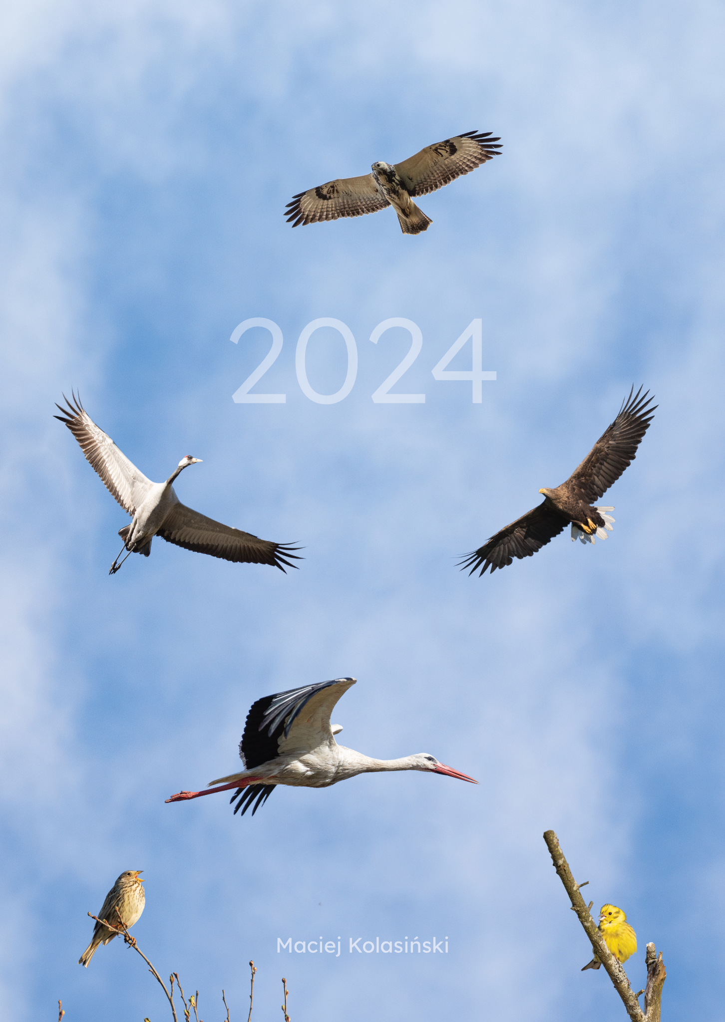 Kalendarz 2024 "Ptaki"